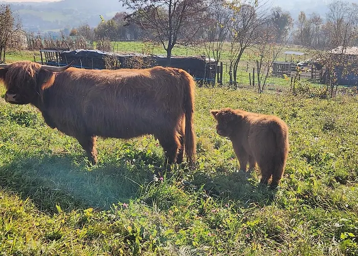 La Casa Dei Doudou * Massac