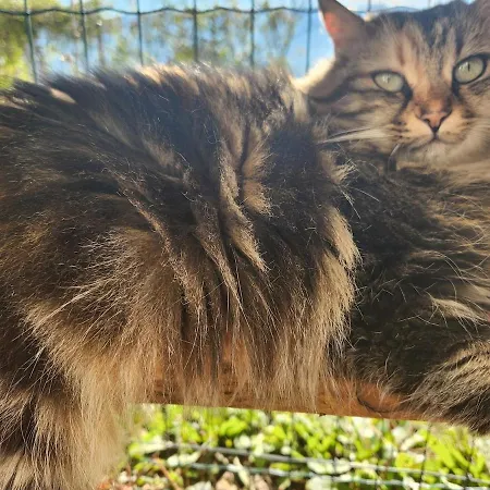 펜션 La Casa Dei Doudou Massac