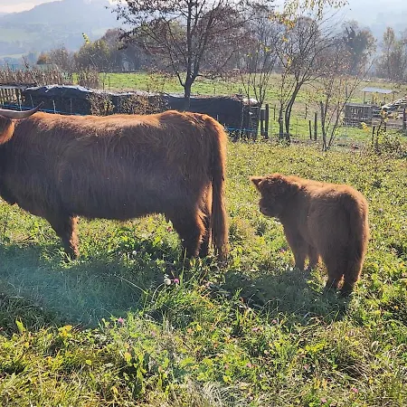 La Casa Dei Doudou * Massac