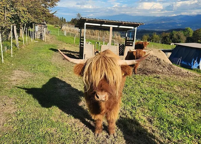 La Casa Dei Doudou Massac