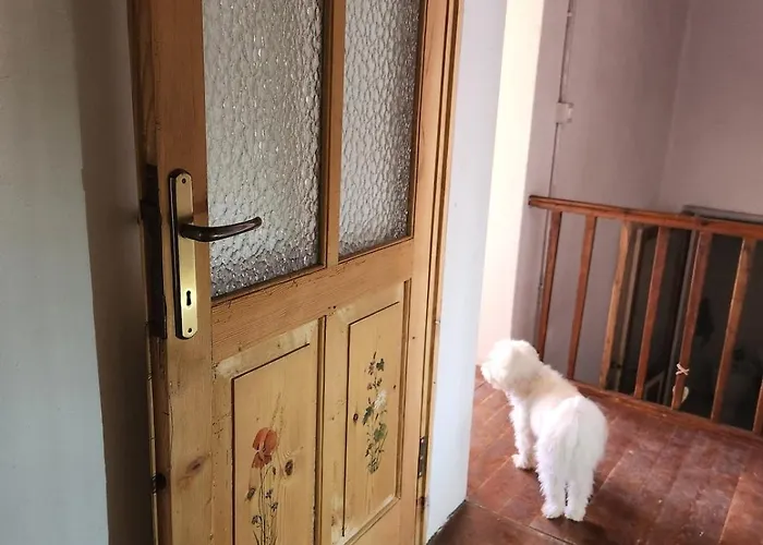 La Casa Dei Doudou 펜션 *