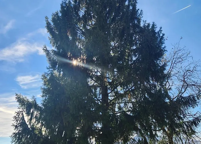 Holiday home La Casa Dei Doudou Massac